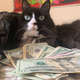 Illustration for article titled A Definitive Ranking of All the Jezebel Pets, As Judged by 3 Kids